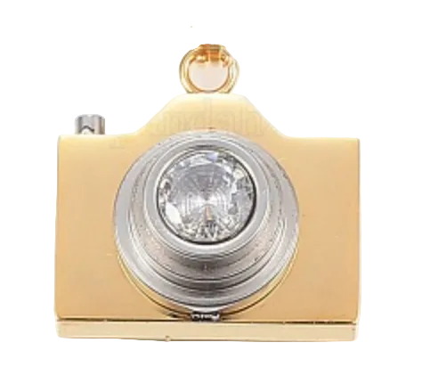 Gold and silver camera-shaped charm on a white background