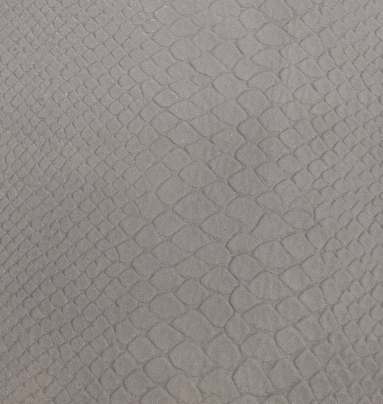 Point Reyes - Embossed Snake Scales Leather Passport Holder | Journal - A6