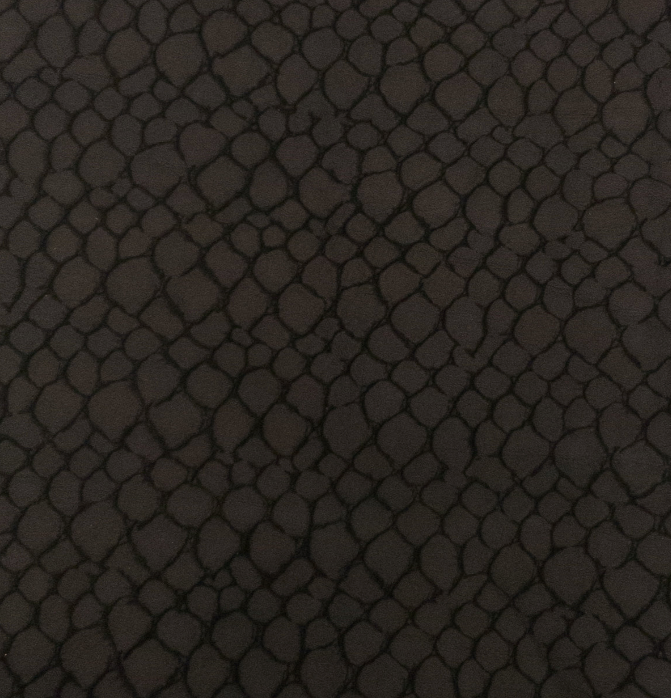 Point Reyes - Embossed Snake Scales Leather Passport Holder | Journal - A6